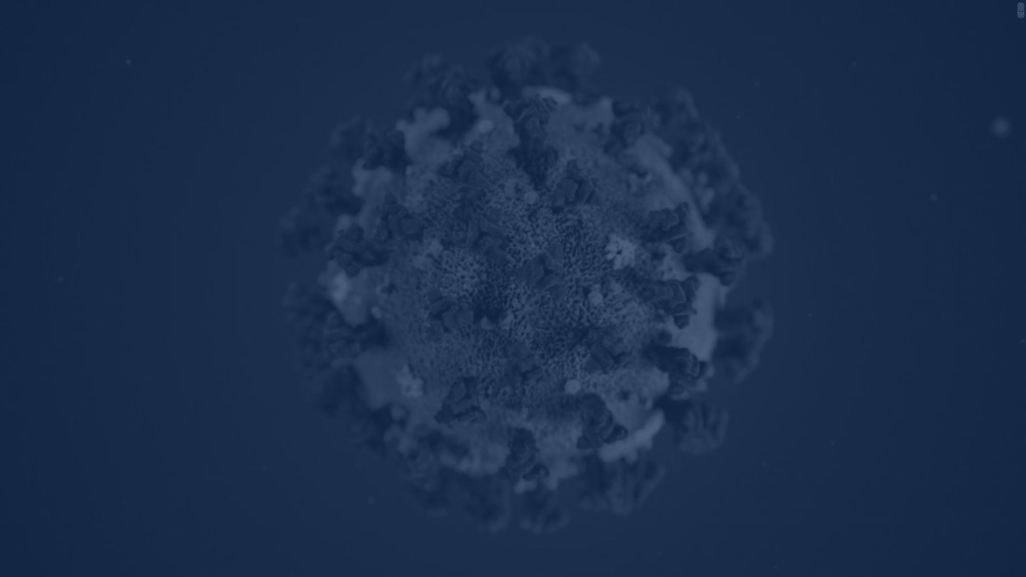 Webinar on Economic Relief Programs for Small Businesses in Response to the COVID-19 Crisis