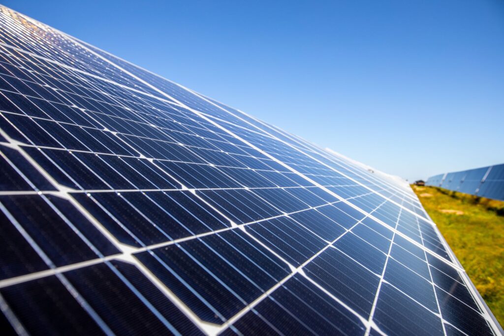 Tom Bitting Joins the Social Entrepreneurship & Sustainability Show  